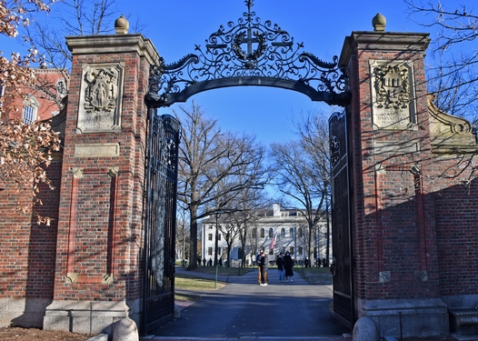 Harvard professor resigns from antisemitism task force after about a month: ‘Divisions on our campus