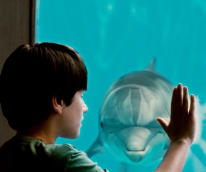 Dolphin Tale (Warner Bros. Pictures)